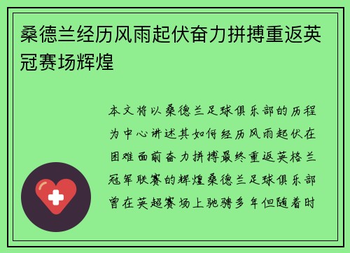 桑德兰经历风雨起伏奋力拼搏重返英冠赛场辉煌